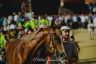 Palio 2 luglio 2019: la fotogallery della Prova Generale