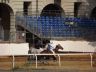 Asti: la fotogallery della prova di questa mattina