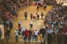 Palio 16 agosto 2018: la fotogallery della Provaccia