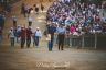 Palio 16 agosto 2018: la fotogallery della Provaccia