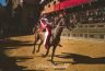 Palio 16 agosto 2018: la fotogallery della Provaccia