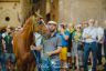 Palio 2 luglio 2019: la fotogallery della Provaccia