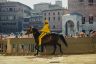 Palio 2 luglio 2019: la fotogallery della Provaccia