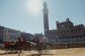 Palio 2 luglio 2019: la fotogallery della Provaccia