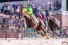 Legnano: la fotogallery del Memorial Favari