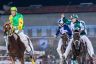 Legnano: la fotogallery del Memorial Favari