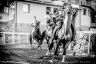 Palio di Piancastagnaio 2019: la fotogallery della prova di questa mattina