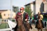 Palio di Piancastagnaio 2019: la fotogallery della prova di questa mattina