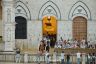 Palio 2 luglio 2019: la fotogallery delle Prove di questa mattina