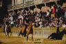 Palio 2 luglio 2019: la fotogallery delle Prove di questa mattina