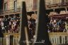 Palio 2 luglio 2019: la fotogallery delle Prove di questa mattina