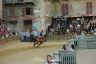 Palio 2 luglio 2019: la fotogallery delle Prove di questa mattina