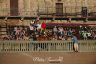Palio 2 luglio 2019: la fotogallery delle Prove di questa mattina