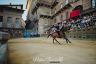 Palio 2 luglio 2019: la fotogallery delle Prove di questa mattina