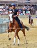 Prove Regolamentate: le foto di Jessica Ibba