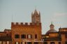 Palio 2 luglio 2019: la fotogallery delle Prove Regolamentate di oggi