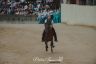Palio 2 luglio 2019: la fotogallery delle Prove Regolamentate di oggi