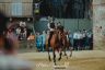 Palio 2 luglio 2019: la fotogallery delle Prove Regolamentate di oggi