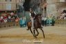 Palio 2 luglio 2019: la fotogallery delle Prove Regolamentate di oggi
