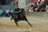 Palio 2 luglio 2019: la fotogallery delle Prove Regolamentate di oggi