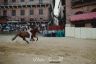 Palio 2 luglio 2019: la fotogallery delle Prove Regolamentate di oggi