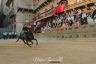 Palio 2 luglio 2019: la fotogallery delle Prove Regolamentate di oggi