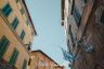 Palio 2 luglio 2019: la fotogallery della quarta prova