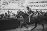 Palio 2 luglio 2019: la fotogallery della quarta prova
