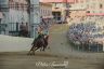 Palio 2 luglio 2019: la fotogallery della quarta prova