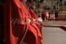 La fotogallery di Sant'Ansano 2019