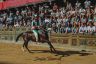 Palio 16 agosto 2019: la fotogallery della Seconda Prova