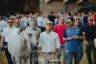Palio 16 agosto 2019: la fotogallery della Seconda Prova