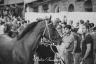 Palio 16 agosto 2019: la fotogallery della Seconda Prova