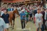 Palio 16 agosto 2019: la fotogallery della Seconda Prova