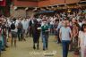 Palio 16 agosto 2019: la fotogallery della Seconda Prova