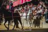 Palio 16 agosto 2019: la fotogallery della Seconda Prova