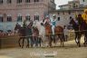 Palio 16 agosto 2019: la fotogallery della Seconda Prova