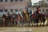Palio 16 agosto 2019: la fotogallery della Seconda Prova