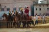 Palio 16 agosto 2019: la fotogallery della Seconda Prova