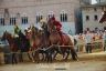 Palio 16 agosto 2019: la fotogallery della Seconda Prova