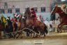 Palio 16 agosto 2019: la fotogallery della Seconda Prova