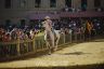 Palio 16 agosto 2019: la fotogallery della Seconda Prova