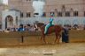 Palio 16 agosto 2019: la fotogallery della Seconda Prova