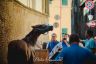 Palio 16 agosto 2019: la fotogallery della Seconda Prova