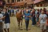 Palio 16 agosto 2019: la fotogallery della Seconda Prova