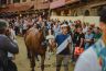 Palio 16 agosto 2019: la fotogallery della Seconda Prova