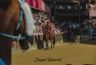 Palio 16 agosto 2019: la fotogallery della Seconda Prova