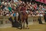 Palio 16 agosto 2019: la fotogallery della Seconda Prova