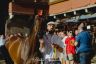 Palio 2 luglio 2019: la fotogallery della Terza Prova