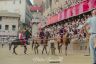 Palio 2 luglio 2019: la fotogallery della Terza Prova